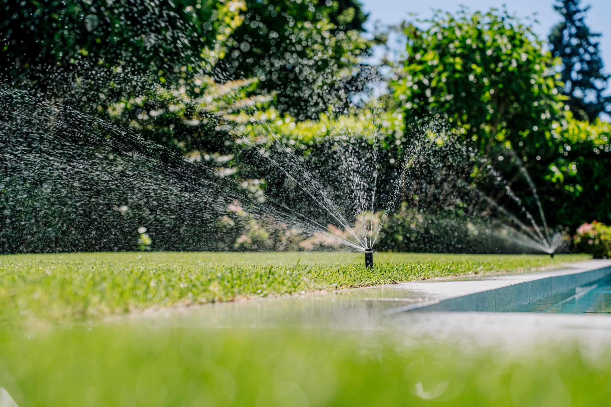 Rasenberegnung am Pool im Rhein-Main-Gebiet
