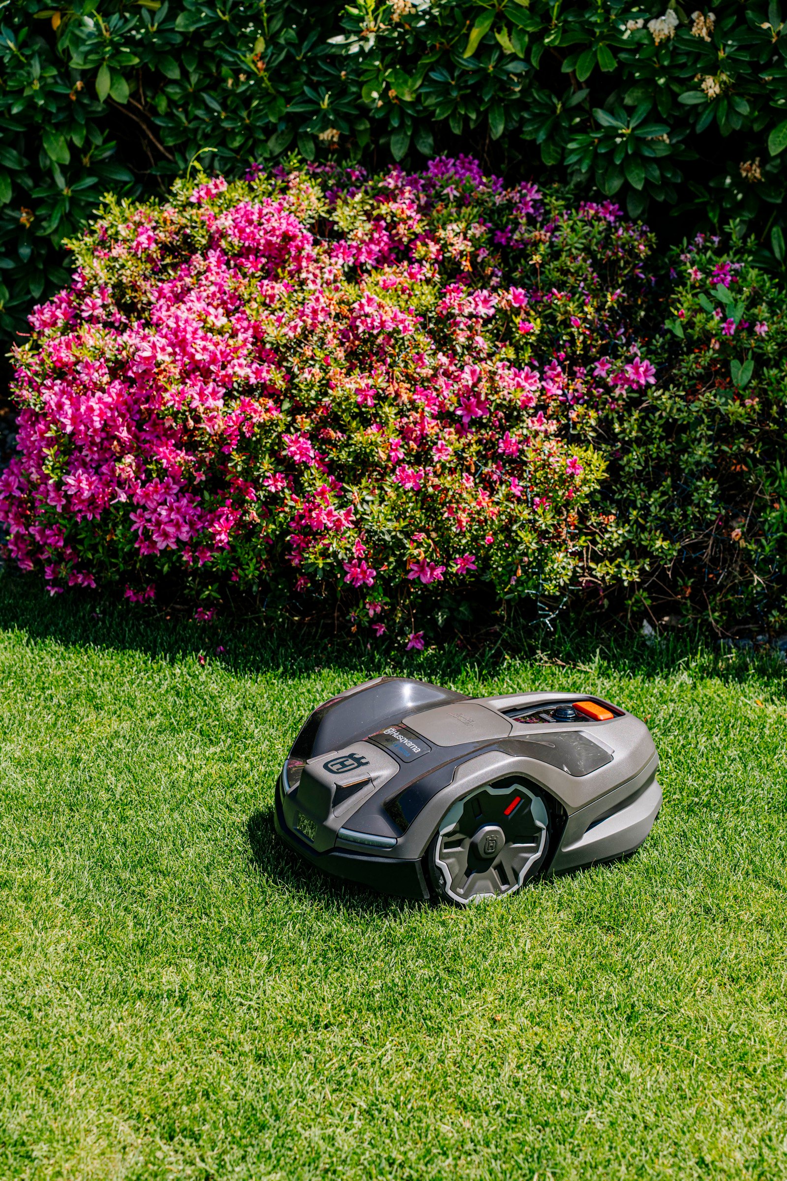 Automower Rasen — Beetrand